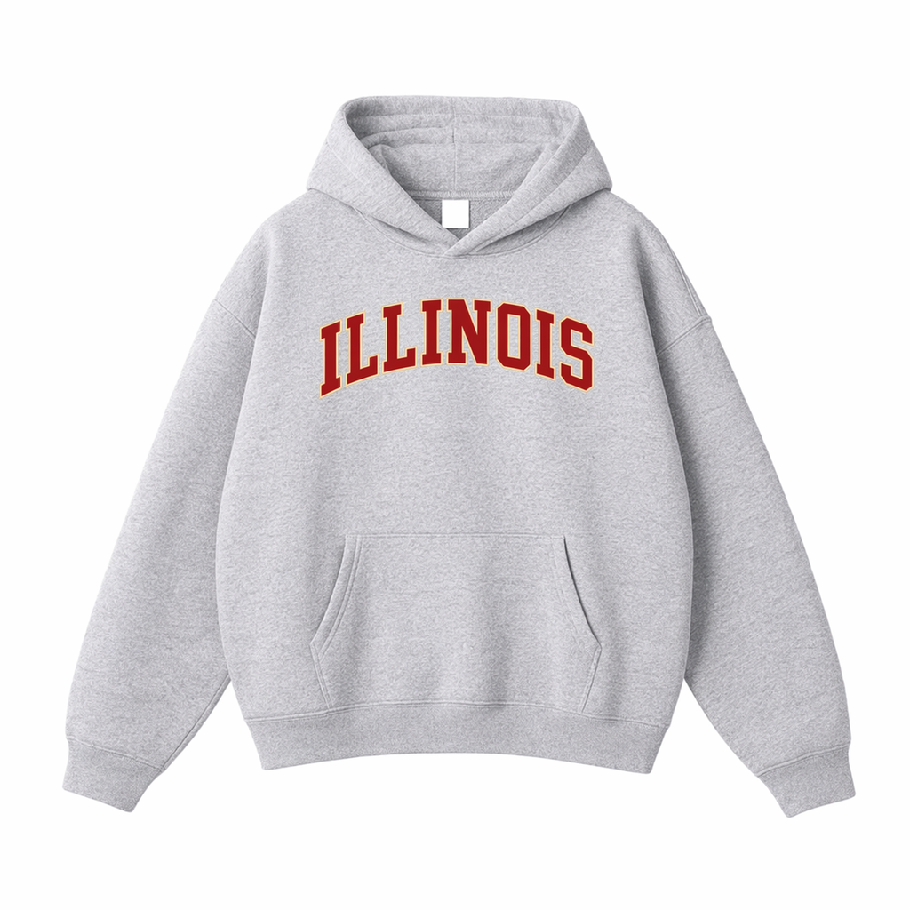 Collection 1 Illinois Oversize Fleeced Hoodie - Flower Gray front