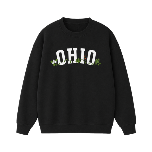 Collection 10 Ohio Essential Heavyweight Crewneck Sweatshirt - Black front