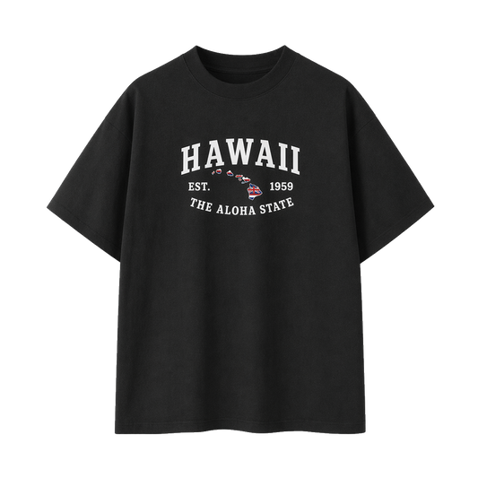Collection 8 Hawaii Essential Cotton T-Shirt - Black front