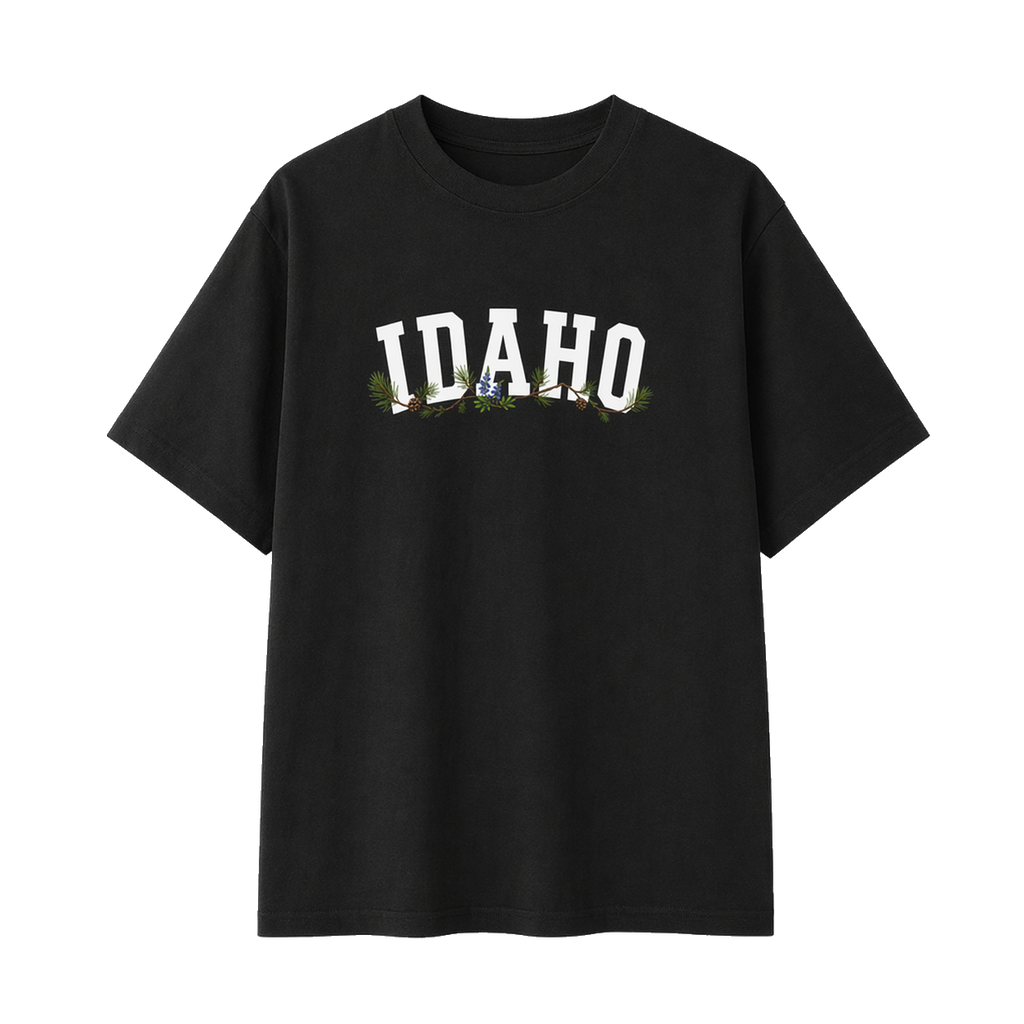 Collection 10 Idaho Essential Cotton T-Shirt - Black front