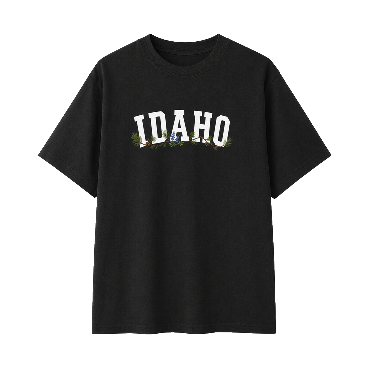Collection 10 Idaho Essential Cotton T-Shirt - Black front