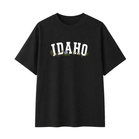 Collection 10 Idaho Essential Cotton T-Shirt - Black front