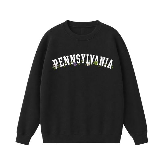 Collection 10 Pennsylvania Essential Heavyweight Crewneck Sweatshirt - Black front