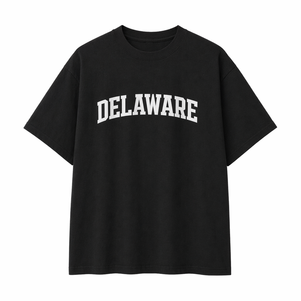 Collection 1 Delaware Essential Cotton T-Shirt - Black front
