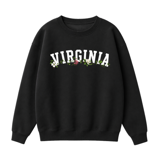 Collection 10 Virginia Essential Heavyweight Crewneck Sweatshirt - Black front