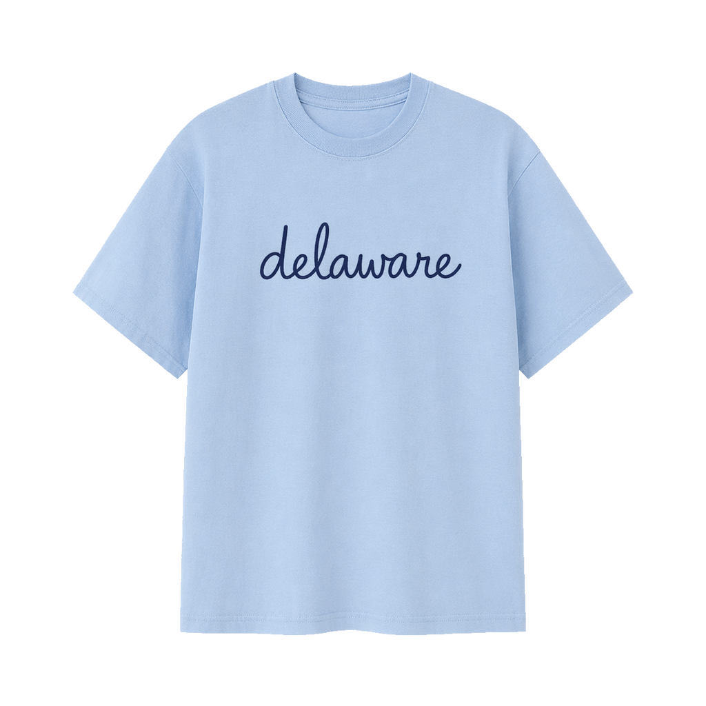 Collection 3 Delaware Essential Cotton T-Shirt - Light Blue front