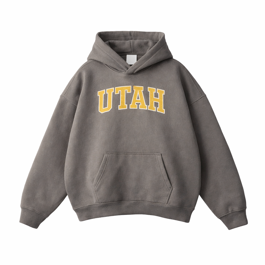 Collection 1 Utah Oversize Fleeced Hoodie - Gray Coffee front