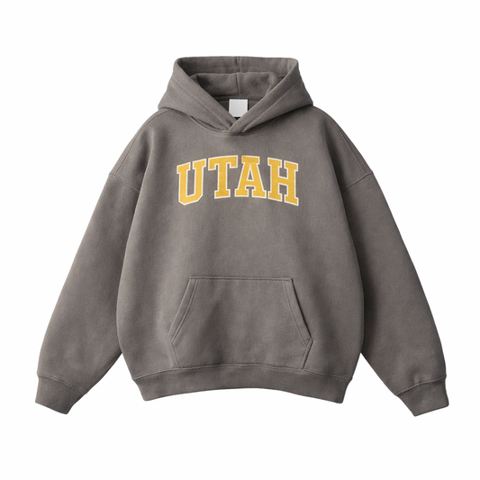 Collection 1 Utah Oversize Fleeced Hoodie - Gray Coffee front