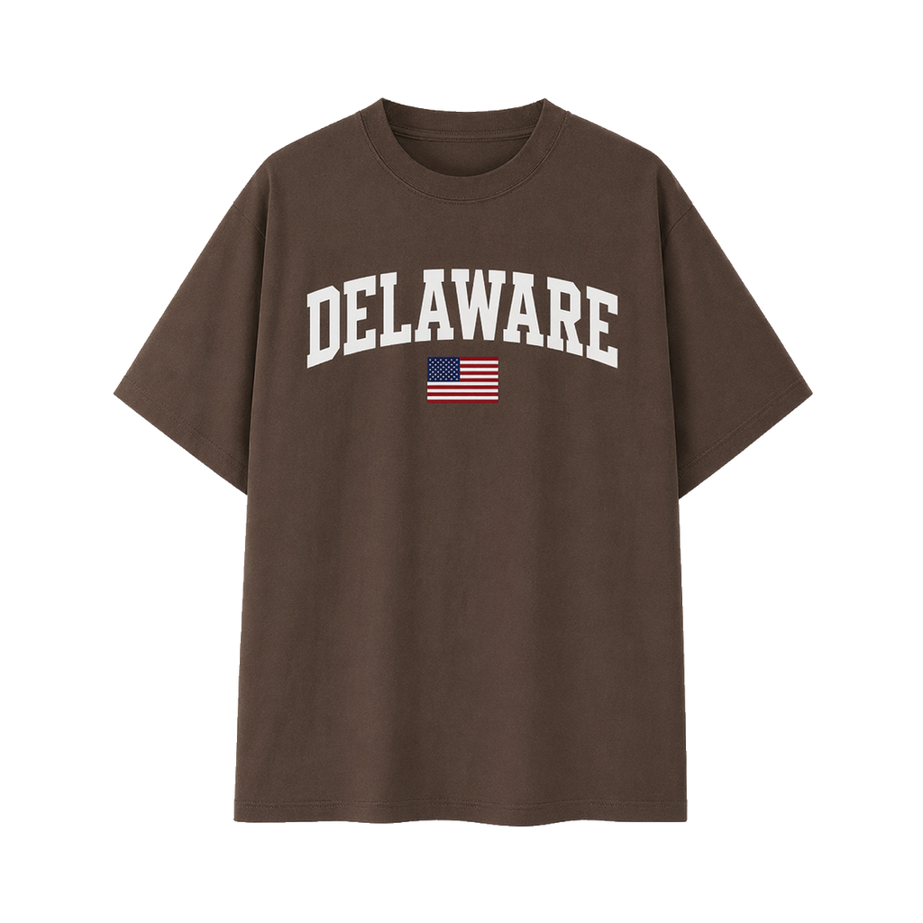 Collection 2 Delaware Essential Cotton T-Shirt - Coffee front