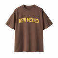 Collection 1 New Mexico Essential Cotton T-Shirt - Coffee front