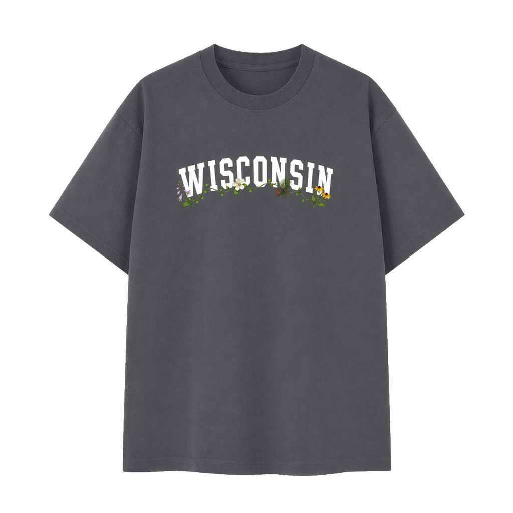 Collection 10 Wisconsin Essential Cotton T-Shirt - Dark Gray front
