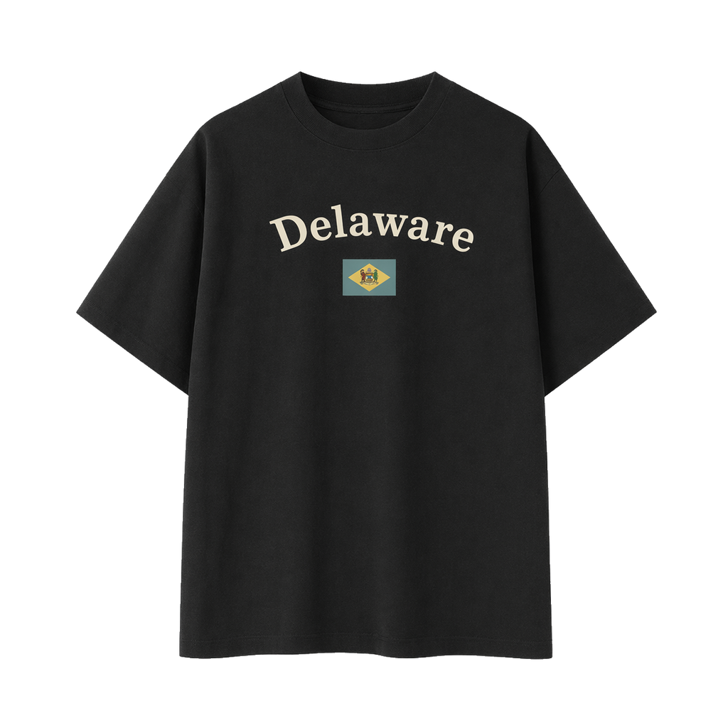 Collection 6 Delaware Essential Cotton T-Shirt - Black front