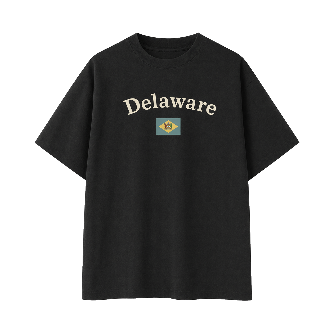 Collection 6 Delaware Essential Cotton T-Shirt - Black front