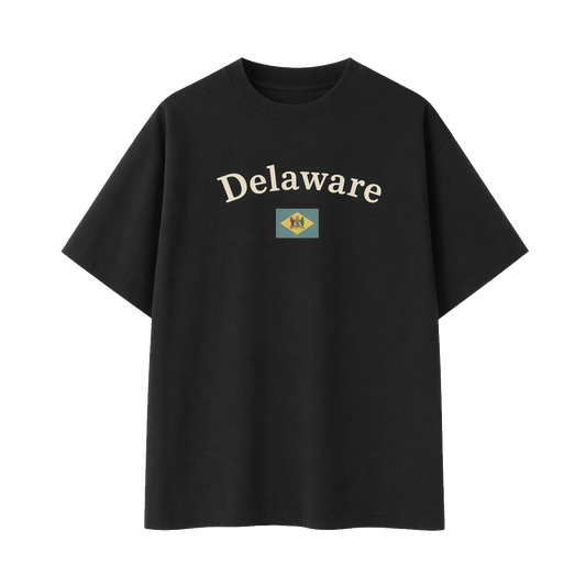 Collection 6 Delaware Essential Cotton T-Shirt - Black front