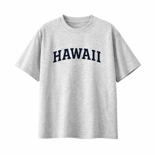 Collection 1 Hawaii Essential Cotton T-Shirt - White Gray front