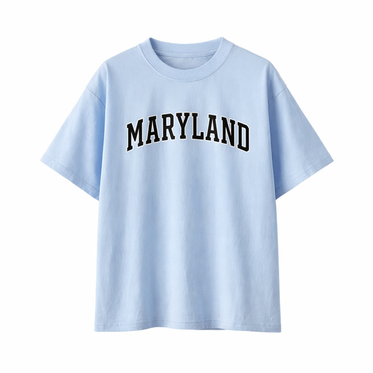 Collection 1 Maryland Essential Cotton T-Shirt - Light Blue front