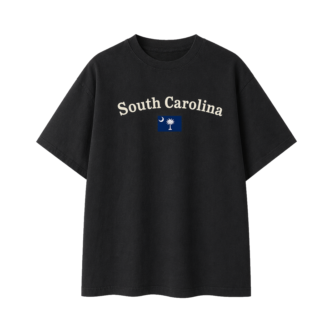 Collection 6 South Carolina Essential Cotton T-Shirt - Black front