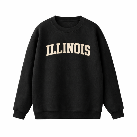 Collection 1 Illinois Essential Heavyweight Crewneck Sweatshirt - Black front