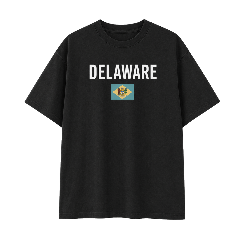Collection 7 Delaware Essential Cotton T-Shirt - Black front