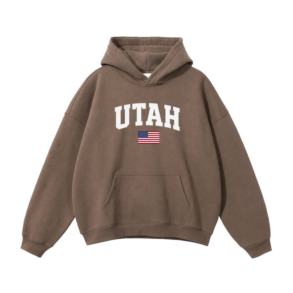 Collection 2 Utah Oversize Fleeced Hoodie - Brown front