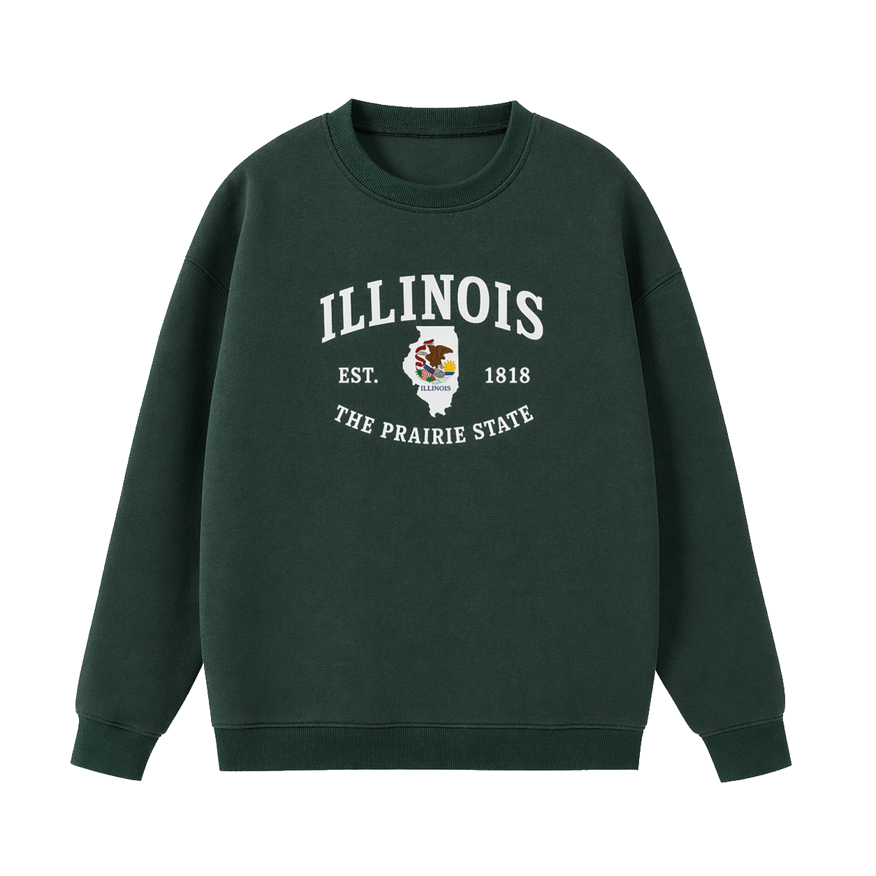 Collection 8 Illinois Essential Heavyweight Crewneck Sweatshirt - Dark Green front