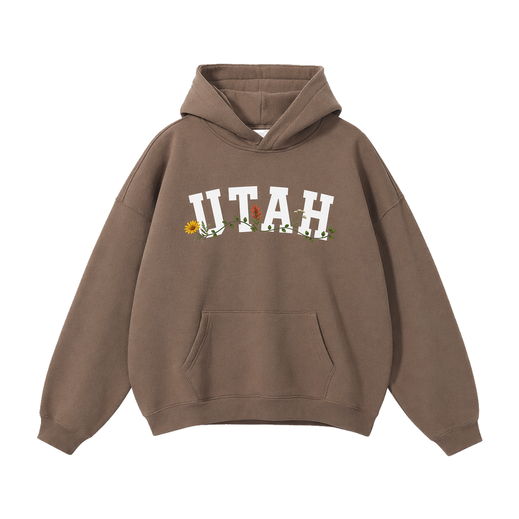 Collection 10 Utah Oversize Fleeced Hoodie - Brown front