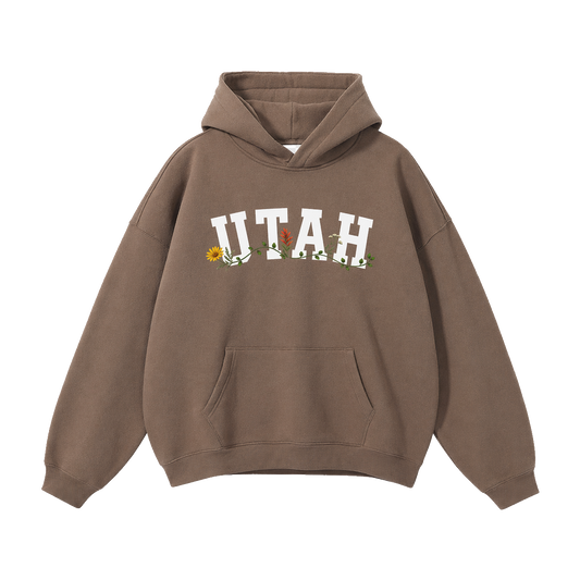 Collection 10 Utah Oversize Fleeced Hoodie - Brown front