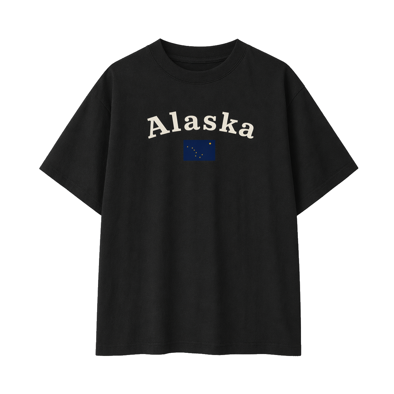Collection 6 Alaska Essential Cotton T-Shirt - Black front