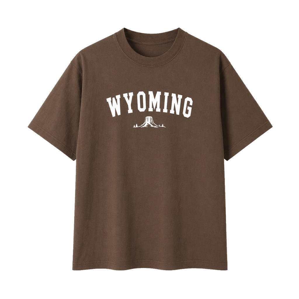 Collection 9 Wyoming Essential Cotton T-Shirt - Coffee front