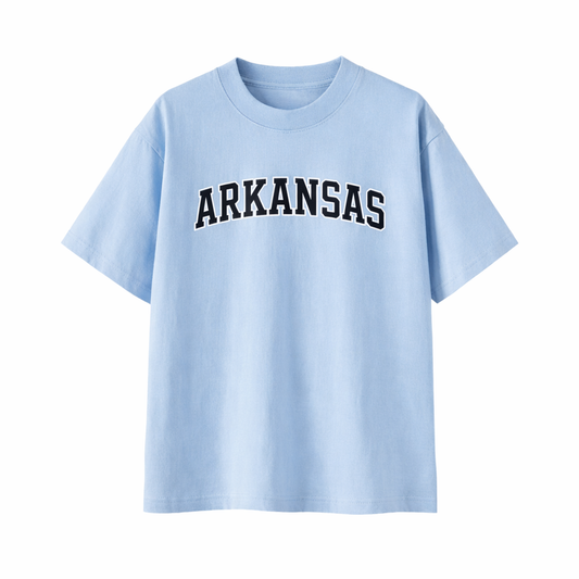 Collection 1 Arkansas Essential Cotton T-Shirt - Light Blue front