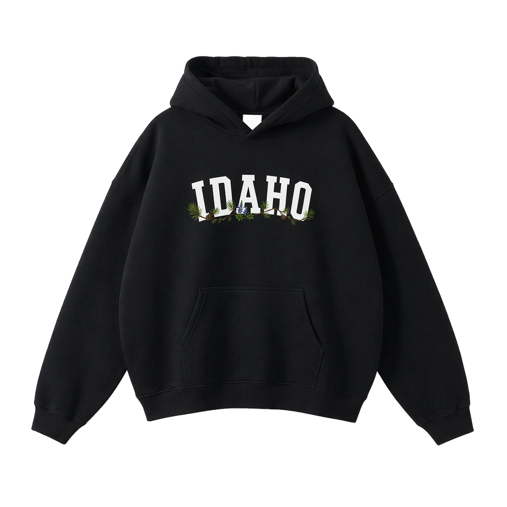 Collection 10 Idaho Oversize Fleeced Hoodie - Black front