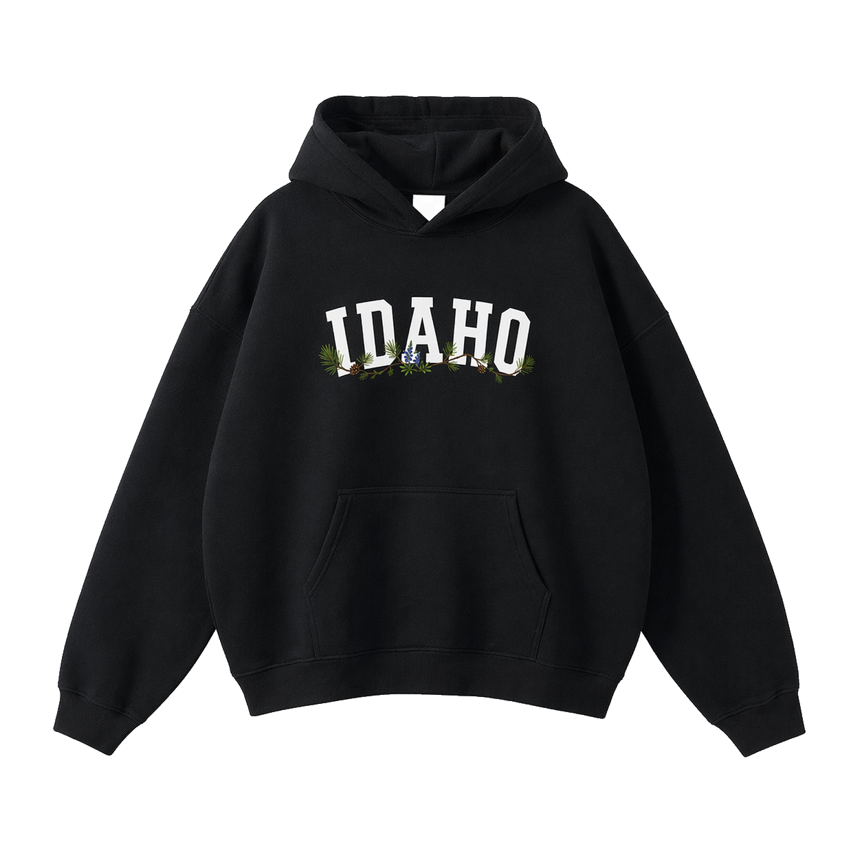 Collection 10 Idaho Oversize Fleeced Hoodie - Black front