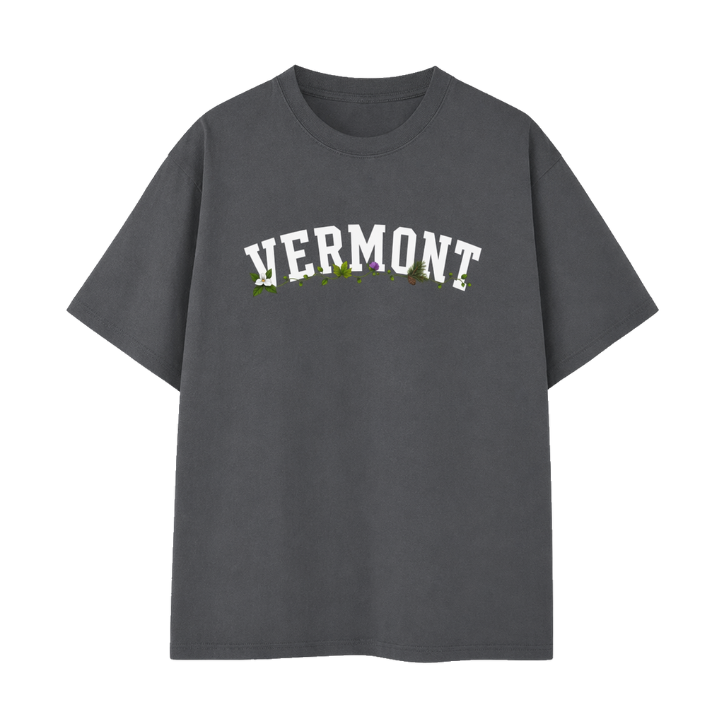 Collection 10 Vermont Essential Cotton T-Shirt - Dark Gray front
