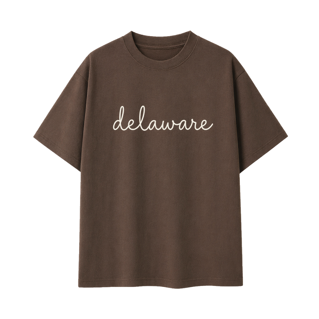 Collection 3 Delaware Essential Cotton T-Shirt - Coffee front