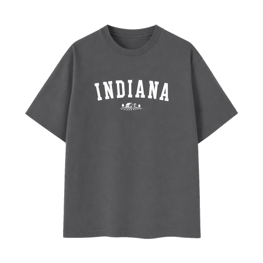 Collection 9 Indiana Essential Cotton T-Shirt - Dark Gray front