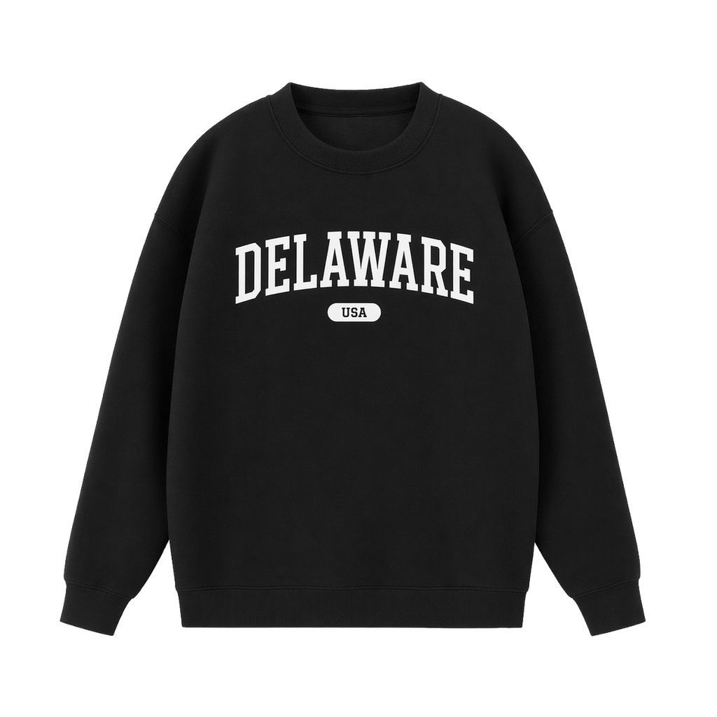 Collection 4 Delaware Essential Heavyweight Crewneck Sweatshirt - Black front