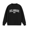 Collection 4 Delaware Essential Heavyweight Crewneck Sweatshirt - Black front