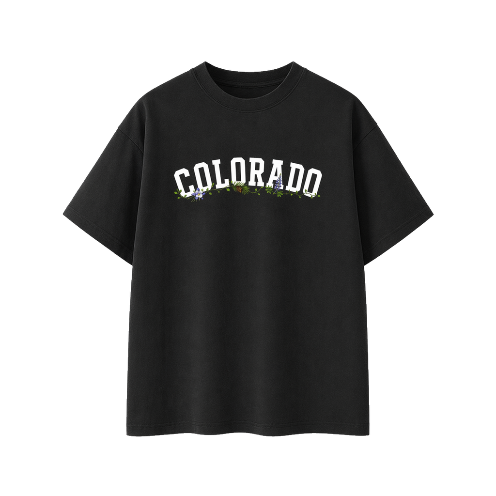 Collection 10 Colorado Essential Cotton T-Shirt - Black front