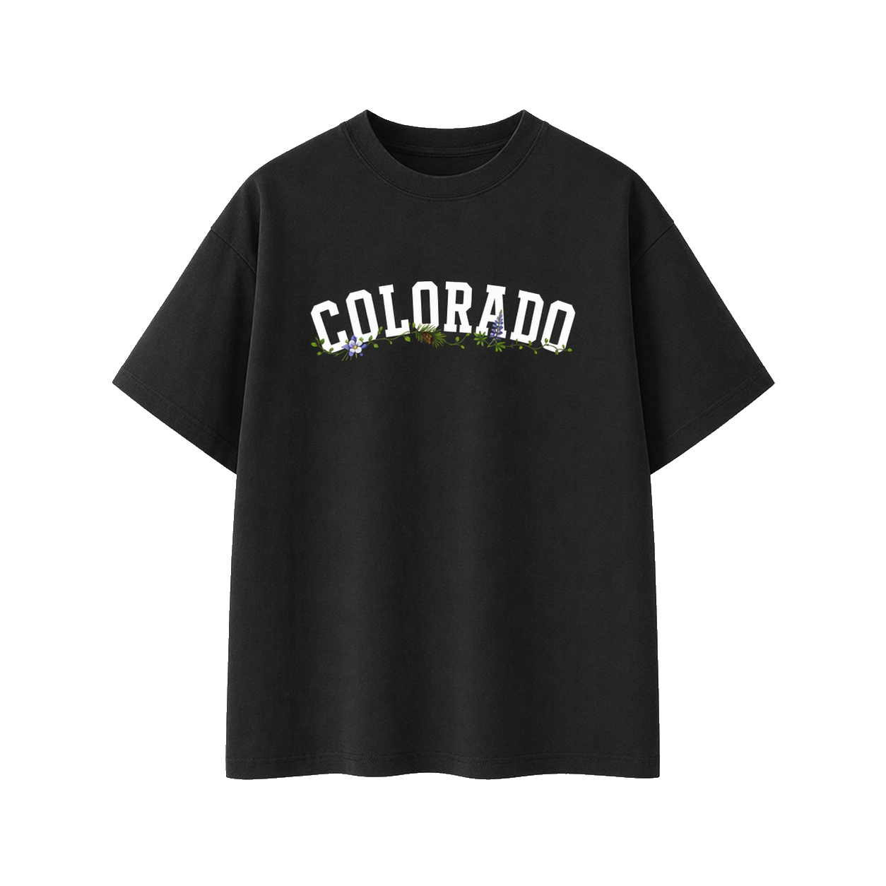 Collection 10 Colorado Essential Cotton T-Shirt - Black front