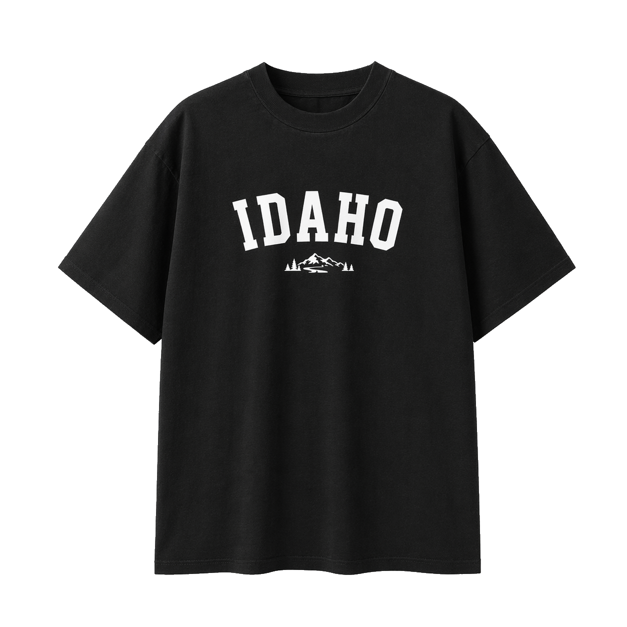Collection 9 Idaho Essential Cotton T-Shirt - Black front