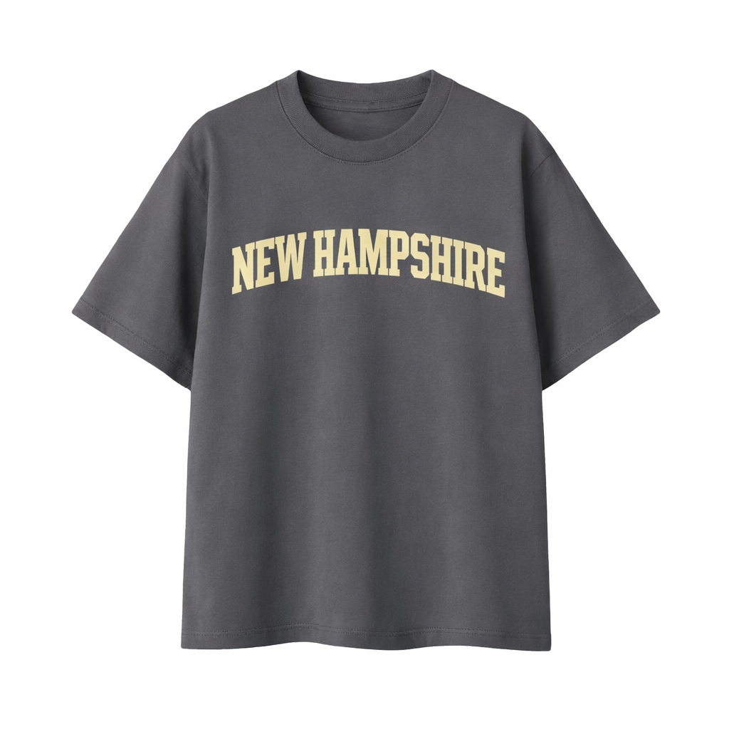 Collection 1 New Hampshire Essential Cotton T-Shirt - Dark Gray front