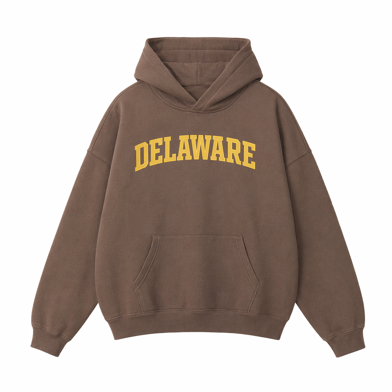 Collection 1 Delaware Oversize Fleeced Hoodie - Brown front