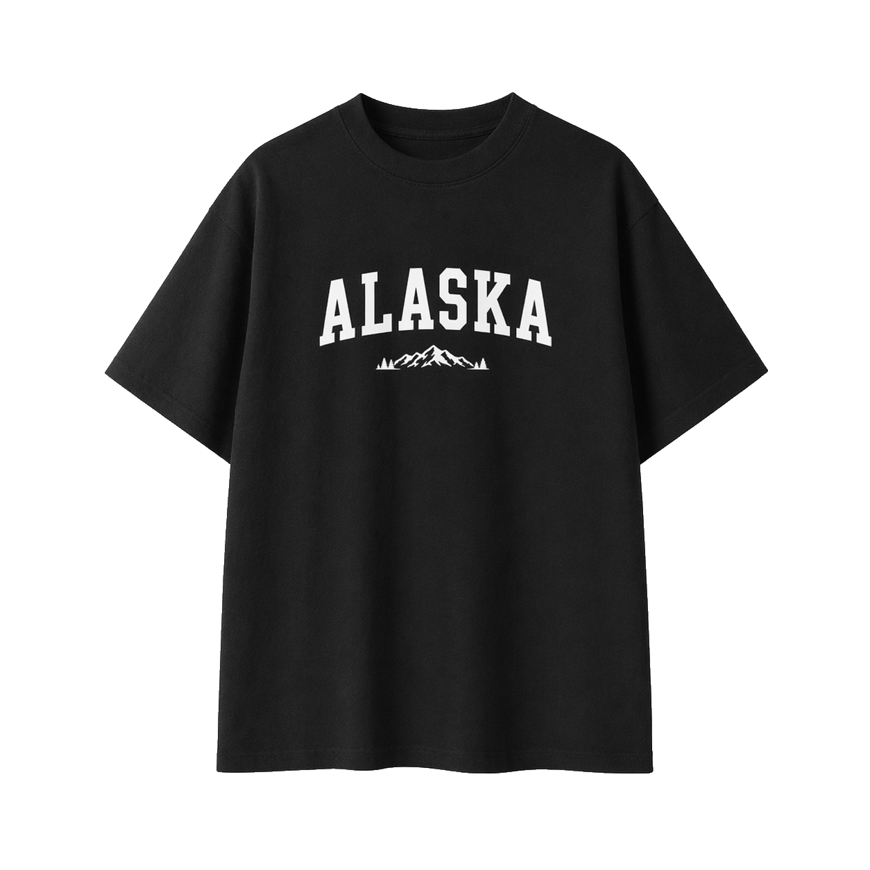 Collection 9 Alaska Essential Cotton T-Shirt - Black front