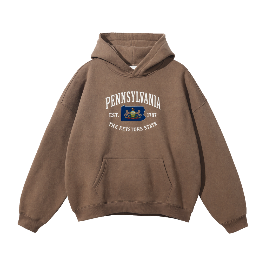 Collection 8 Pennsylvania Oversize Fleeced Hoodie - Brown front