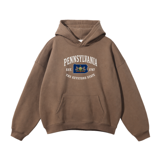Collection 8 Pennsylvania Oversize Fleeced Hoodie - Brown front