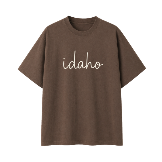 Collection 3 Idaho Essential Cotton T-Shirt - Coffee front