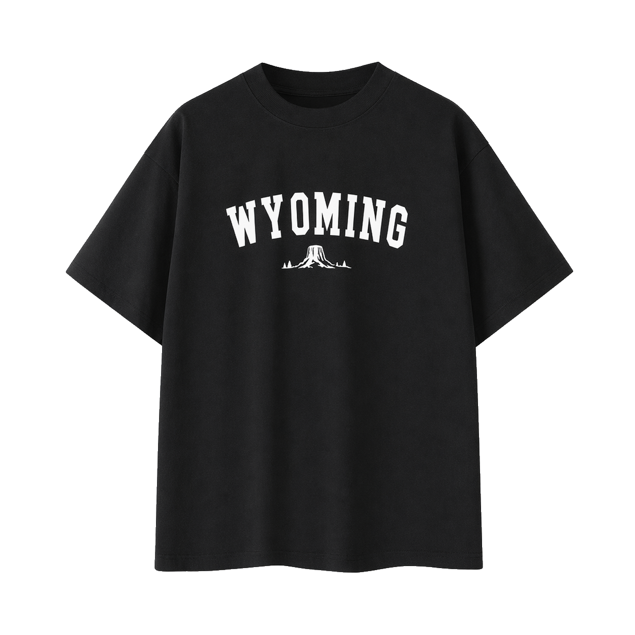 Collection 9 Wyoming Essential Cotton T-Shirt - Black front