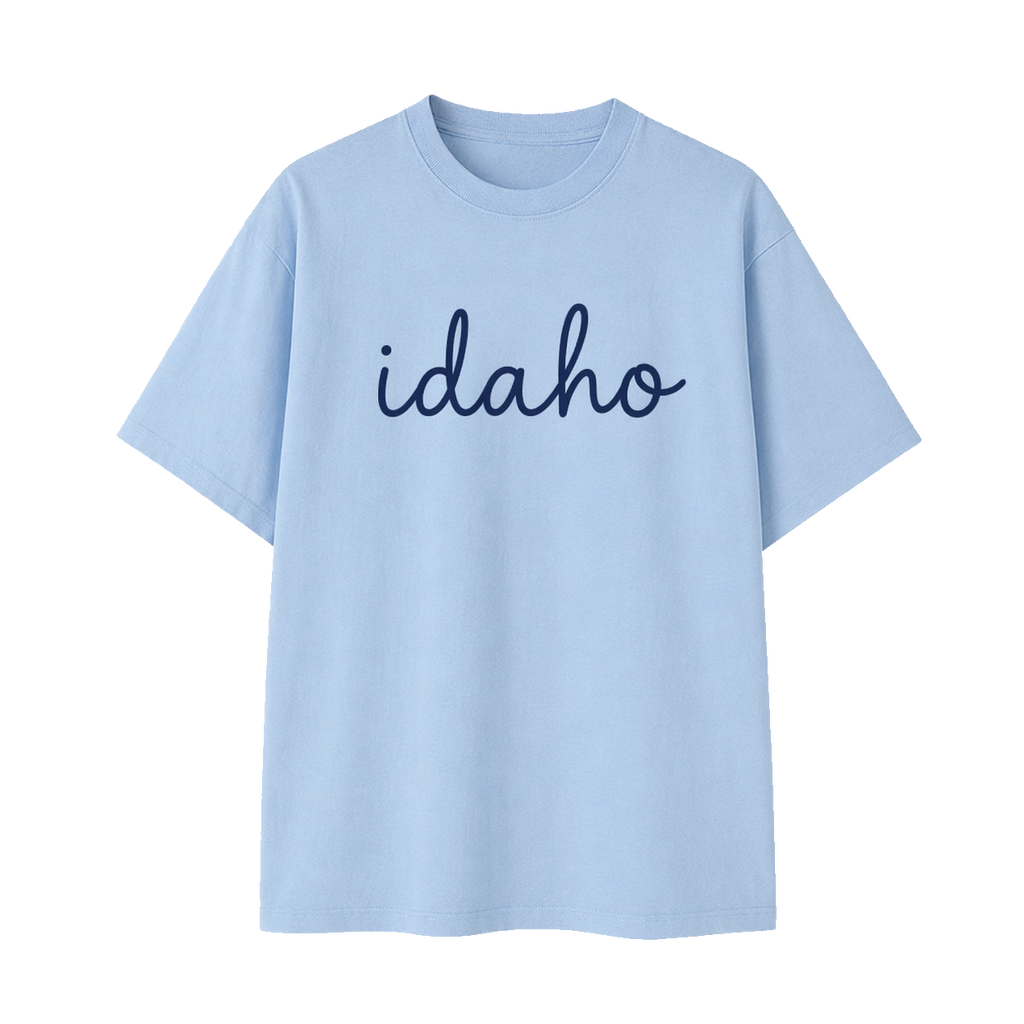 Collection 3 Idaho Essential Cotton T-Shirt - Light Blue front