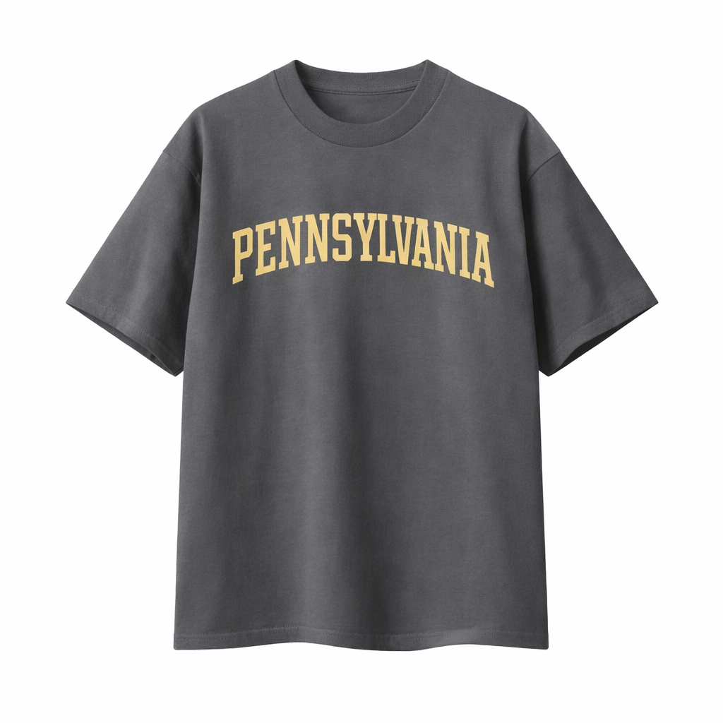 Collection 1 Pennsylvania Essential Cotton T-Shirt - Dark Gray front