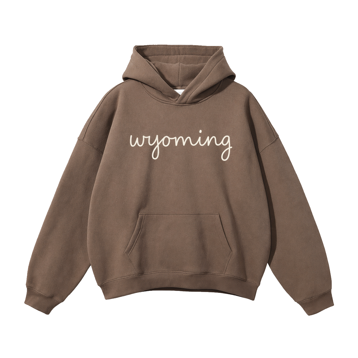 Collection 3 Wyoming Oversize Fleeced Hoodie - Brown front
